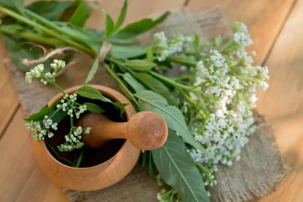 I benefici di Valeriana e Biancospino