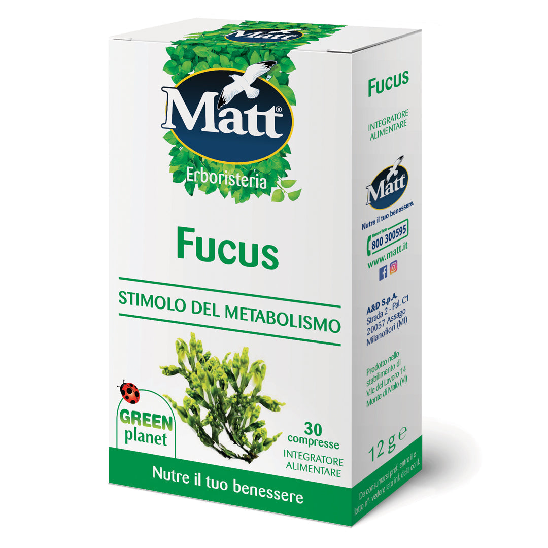 Fucus