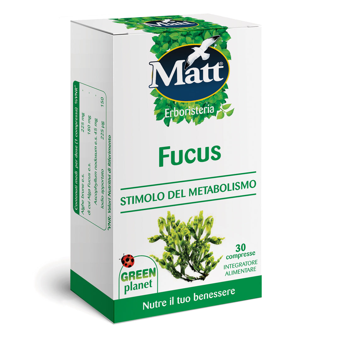 Fucus